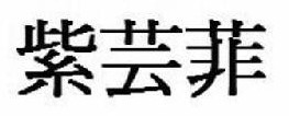 紫芸菲 