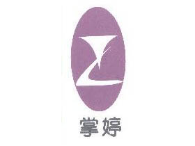 掌婷+图形