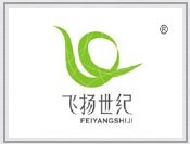 飞扬世纪