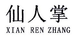 仙人掌 