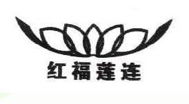 红福莲连+图形